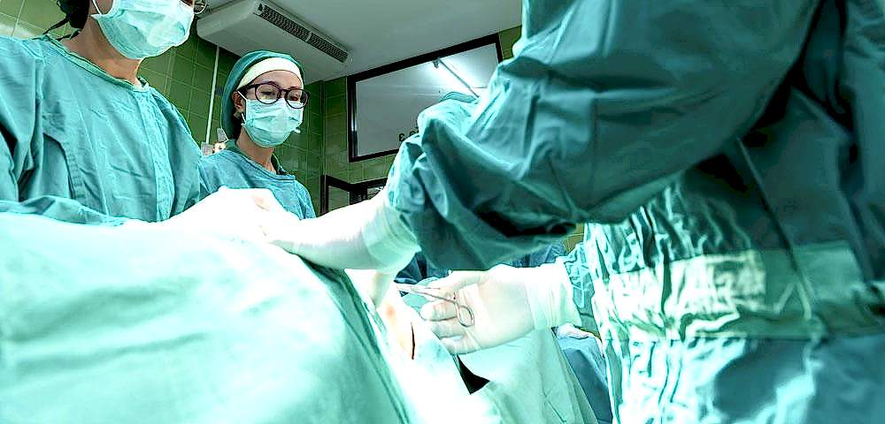 Beylikdüzü Veteriner Kliniği