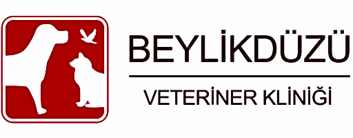 Beylikdüzü Veteriner Kliniği